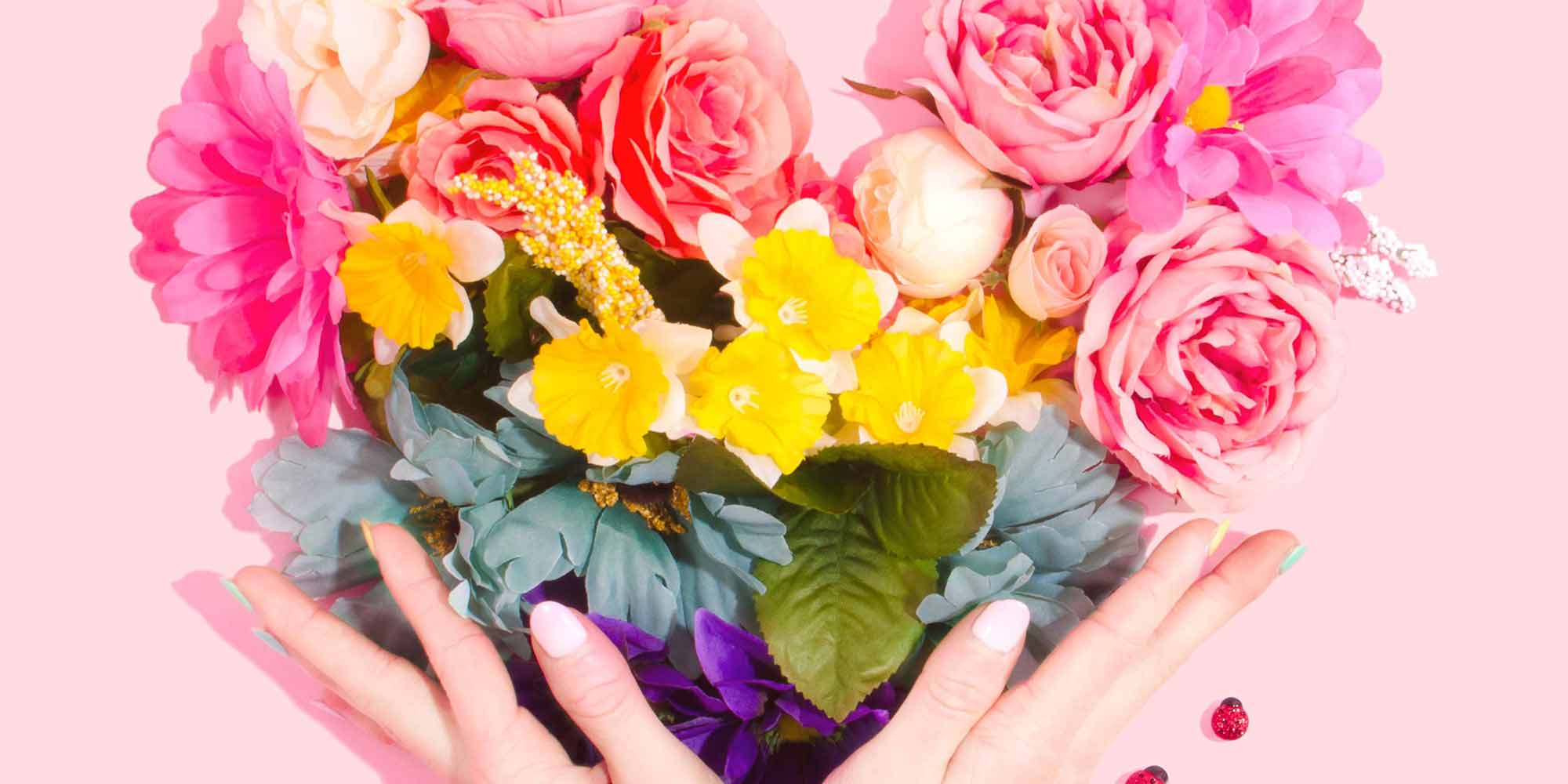 Not a Princess: Adventure and Imagination