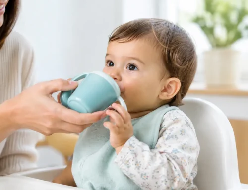 When Can Babies Drink Water and Start Using a Cup?
